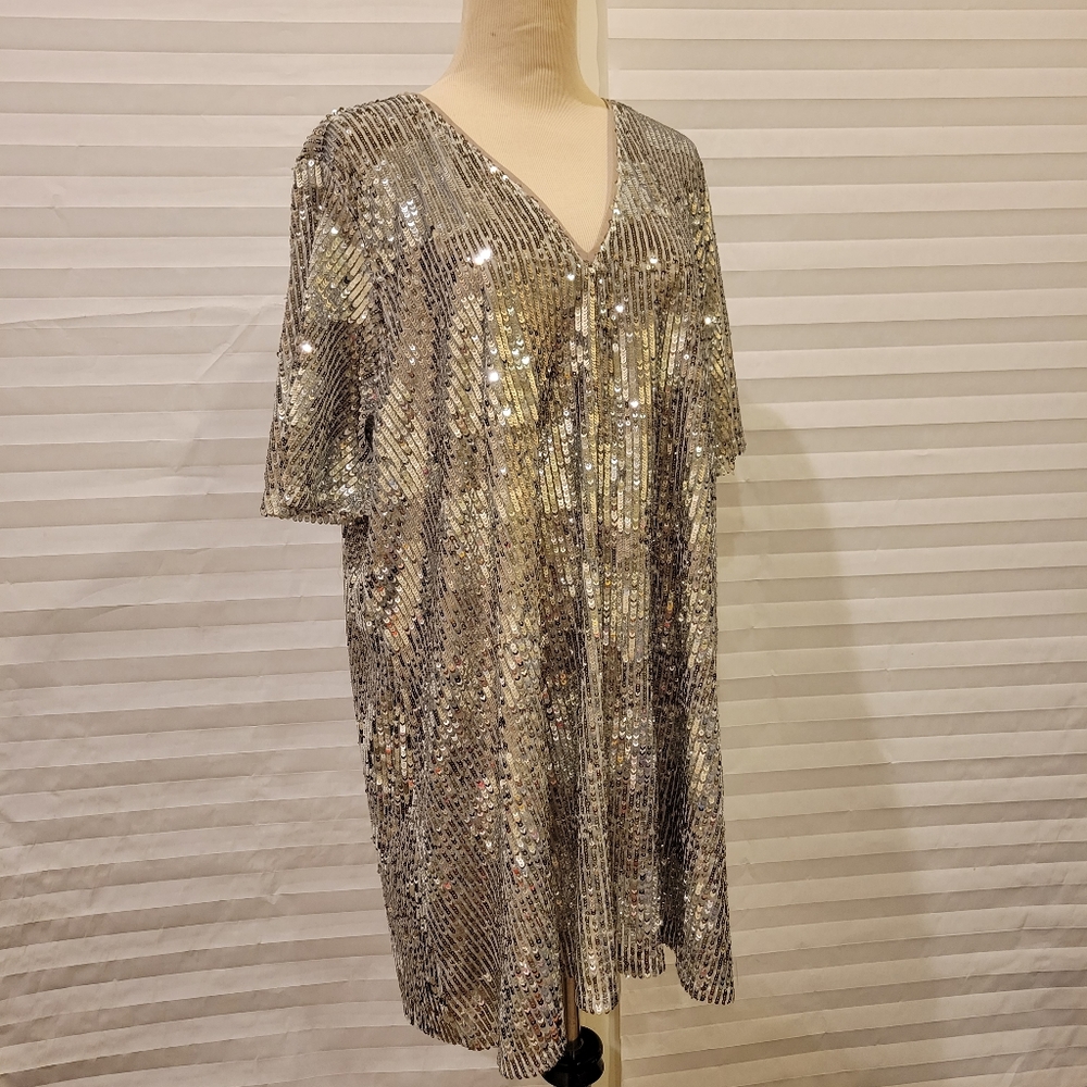 Zara Sequin Dress